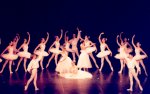 Suite en Blanc